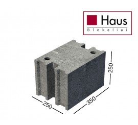 HAUS  S25 250 blokeliai 250x250x350